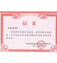 河北省商業(yè)聯(lián)合會(huì)洗滌業(yè)委員會(huì)副主任-洗滌機(jī)械